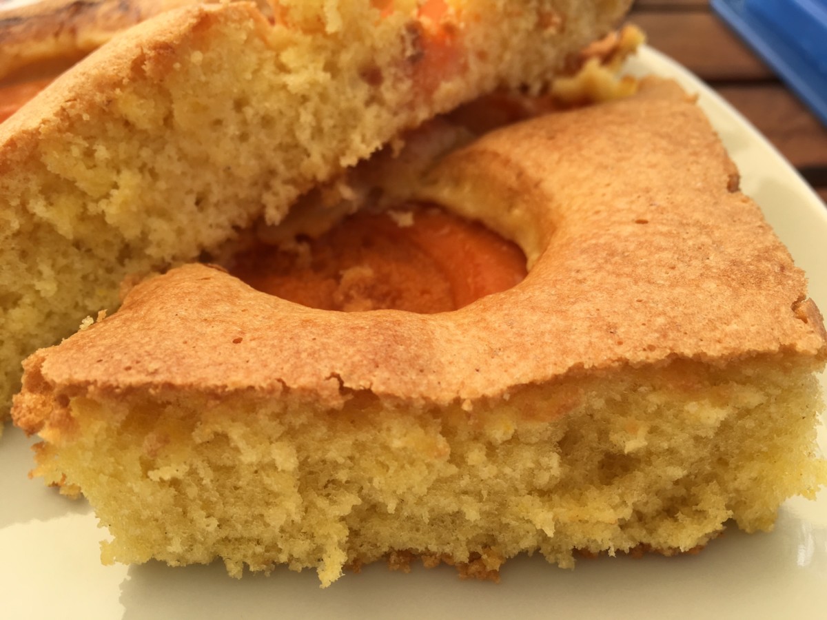 Waltrauds wunderbarer Marillenkuchen marillenkuchen - Waltrauds wunderbarer Marillenkuchen
